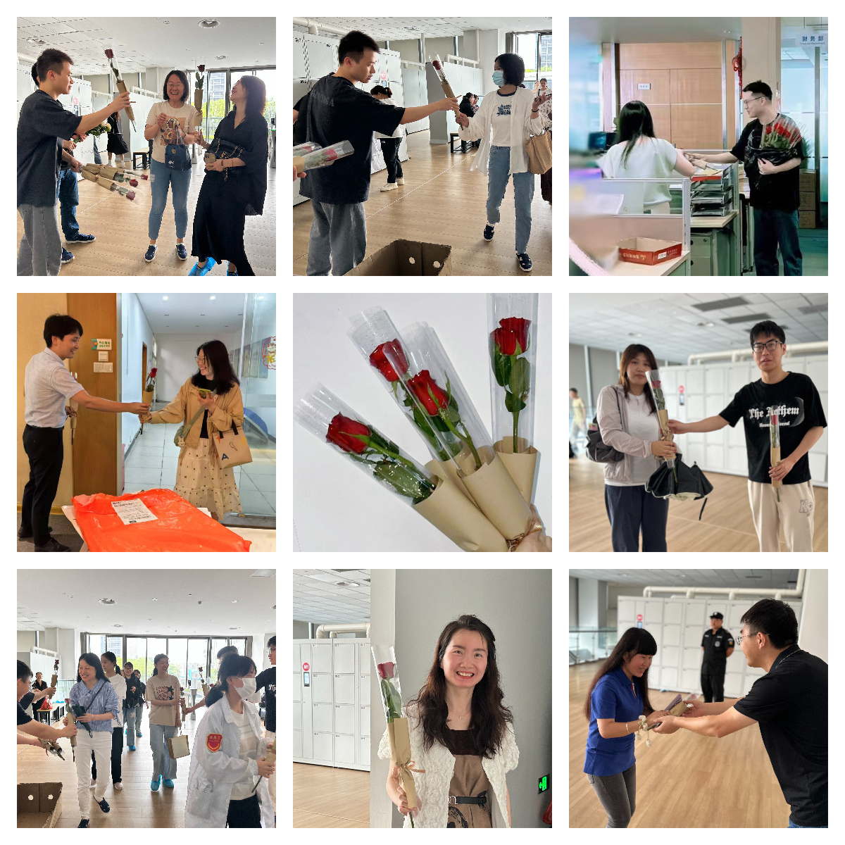 以玫瑰之名，致敬每一個(gè)發(fā)光的你(圖2)